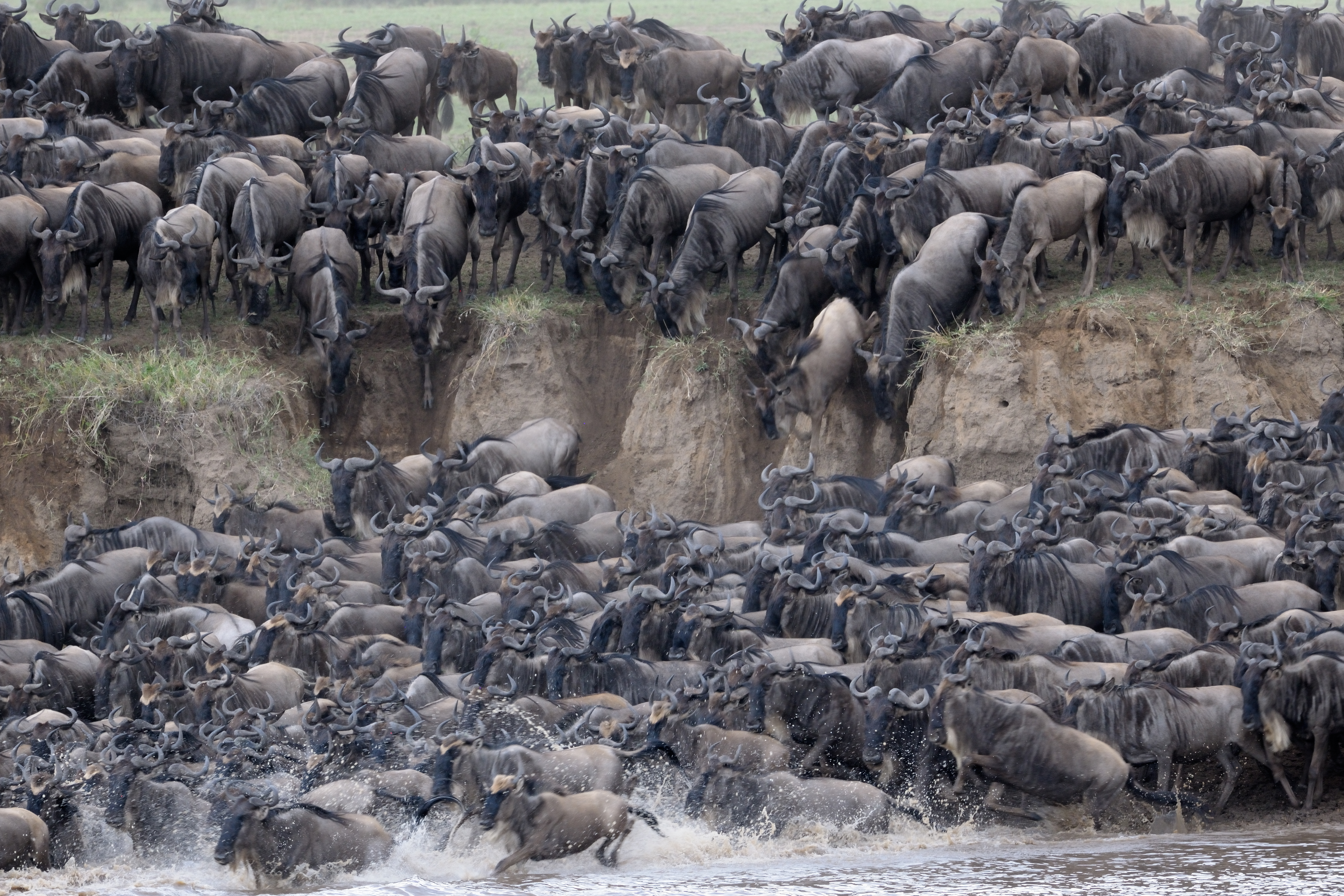 https://d3r8gwkgo0io6y.cloudfront.net/upload/arusha natinl park.jpg